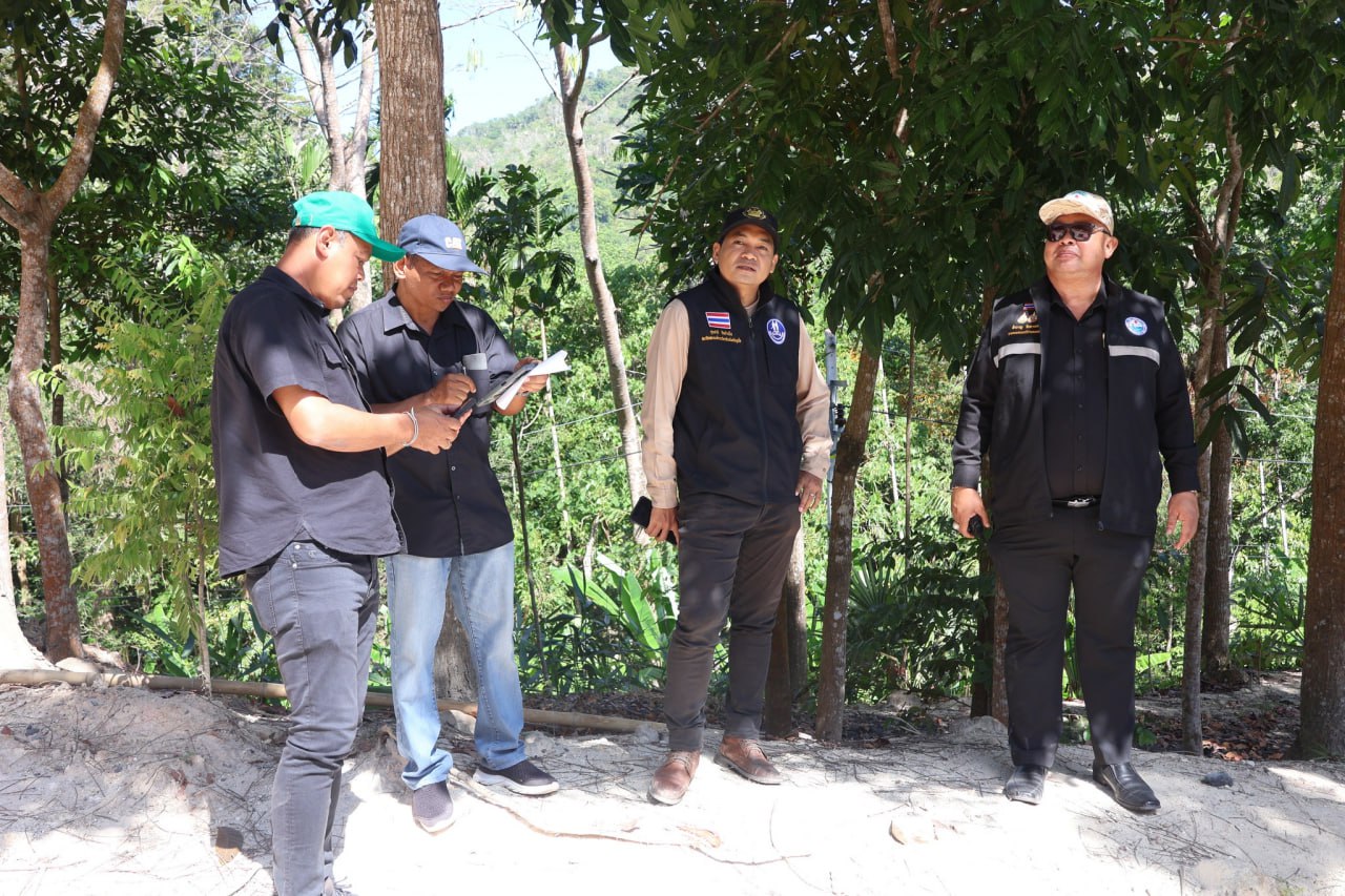 Продолжение работ на дороге Чалонг-Патонг