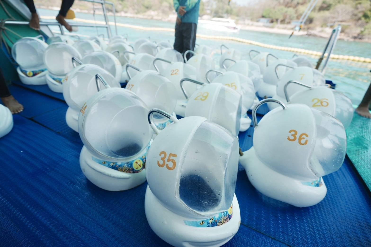 Лицензирование морских прогулок в Паттайе