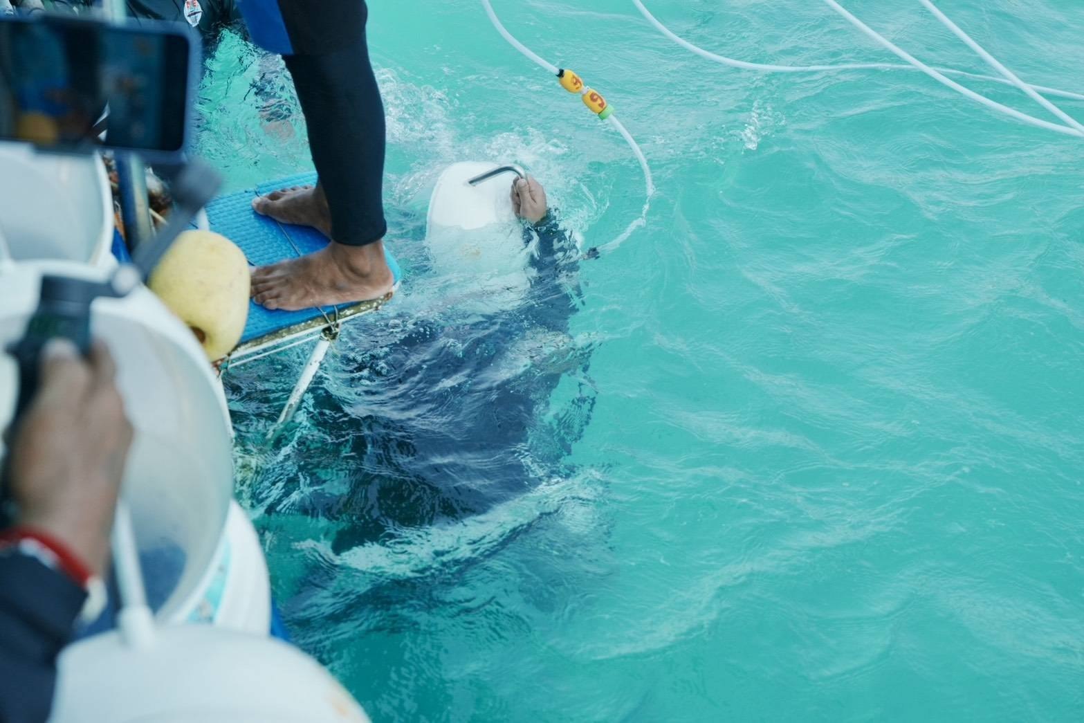 Лицензирование морских прогулок в Паттайе