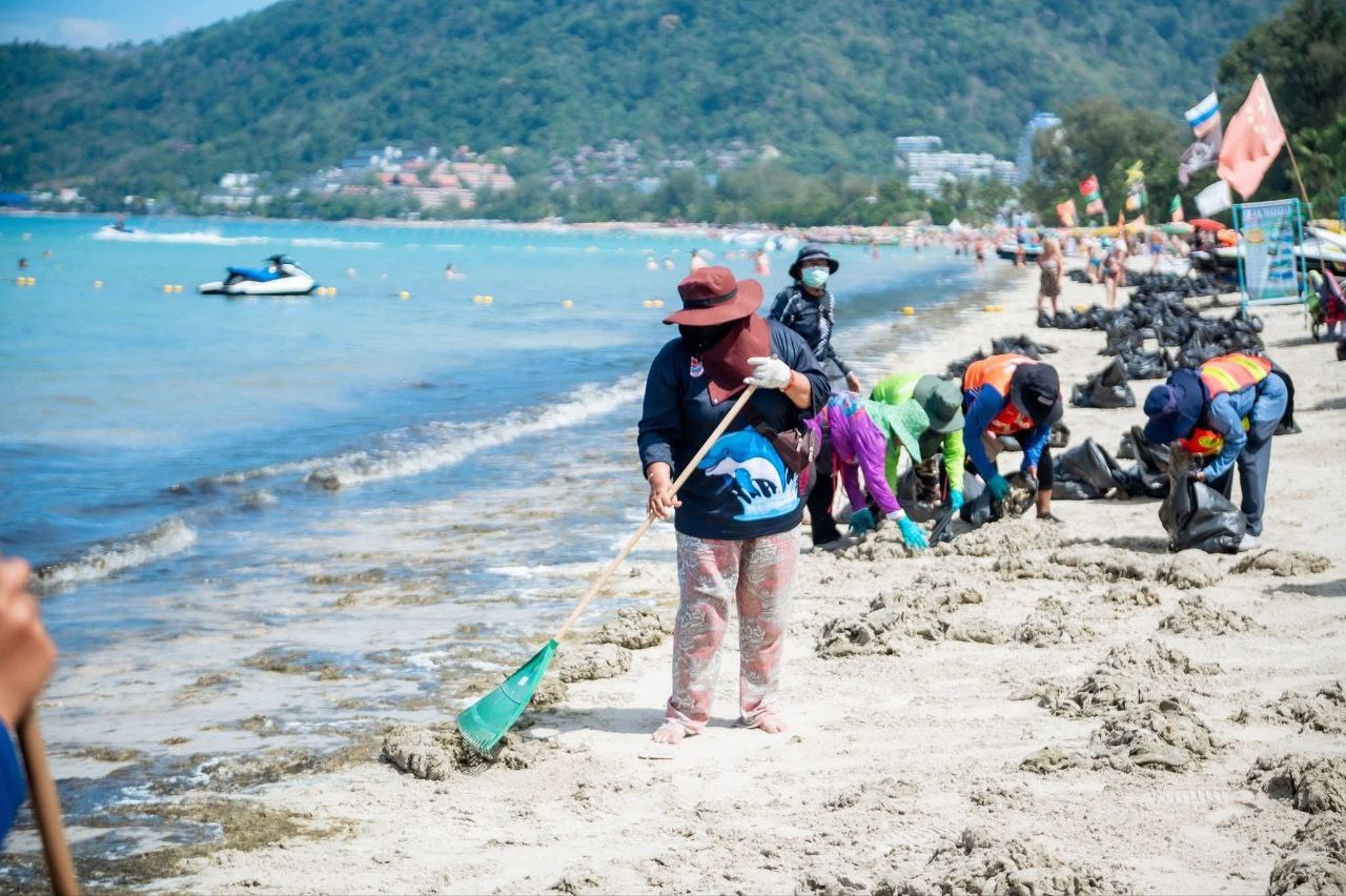 Уборка водорослей на пляже Патонг