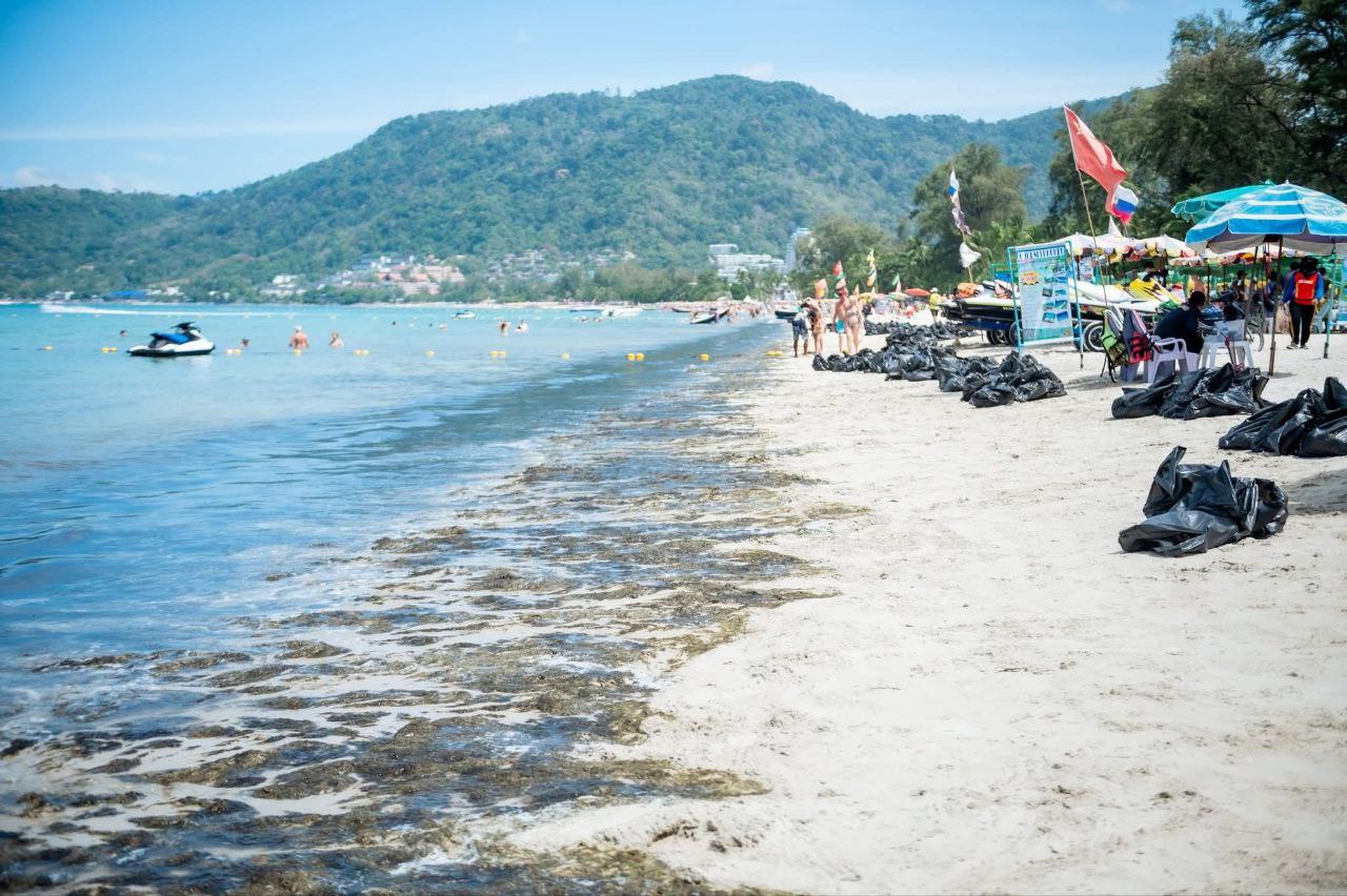 Уборка водорослей на пляже Патонг