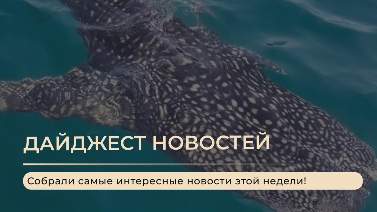 Новостной дайджест Таиланда