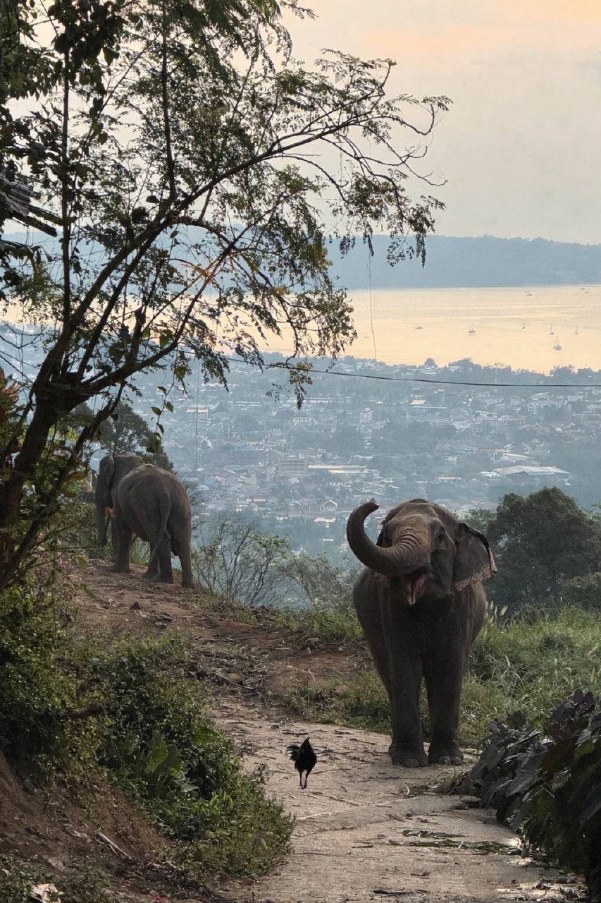 Итоги фото конкурса