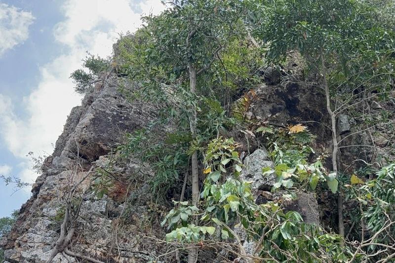 Трагедия на Самуи: погиб российский турист