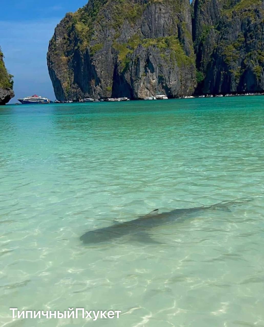 Майя Бэй, Таиланд: природа и жильё