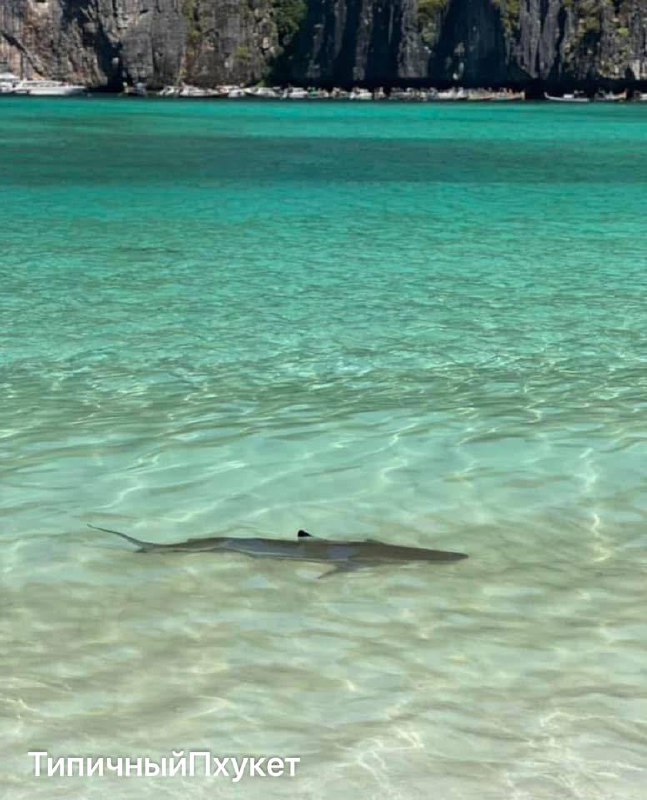 Майя Бэй, Таиланд: природа и жильё