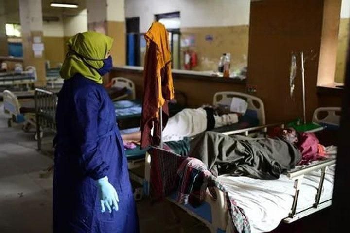 Распространение смертельного вируса «нипах»