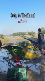 Таиланд и его культура соревнований