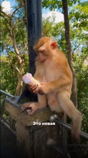 Экскурсия по югу Пхукета