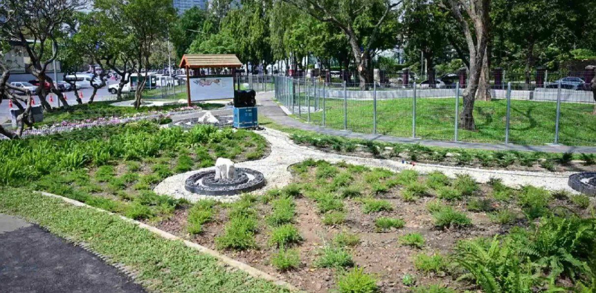 Новый парк для собак в Бангкоке