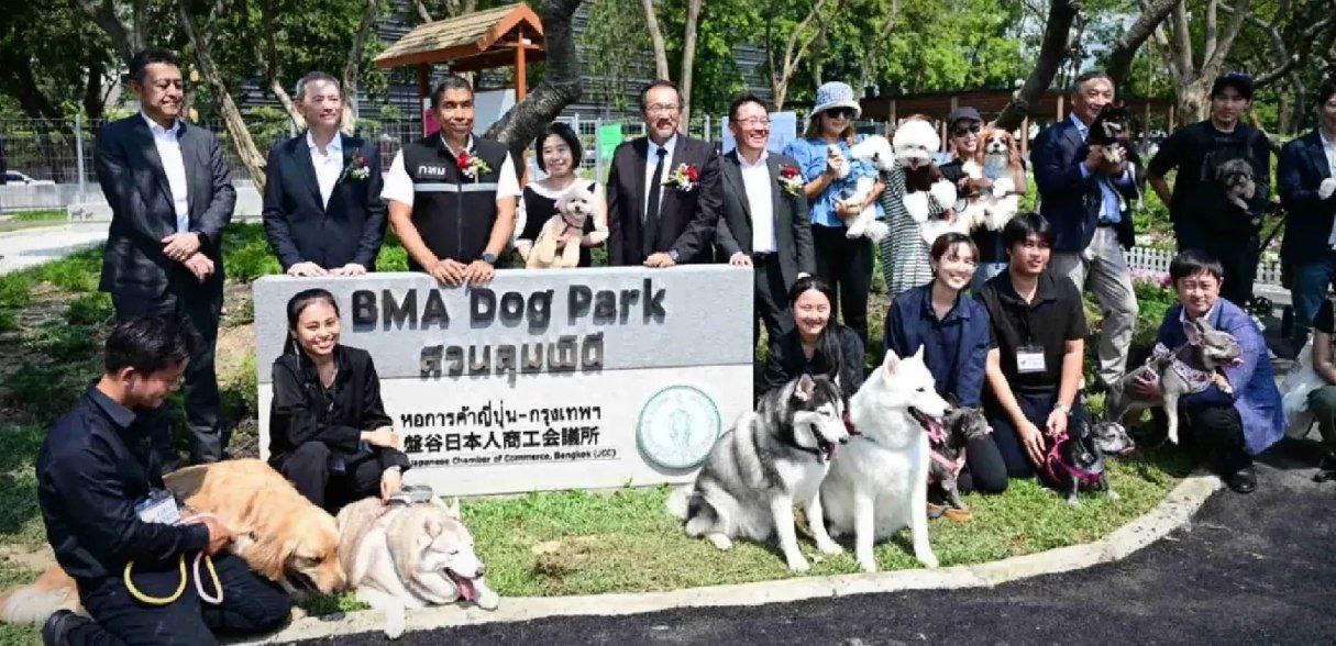 Новый парк для собак в Бангкоке