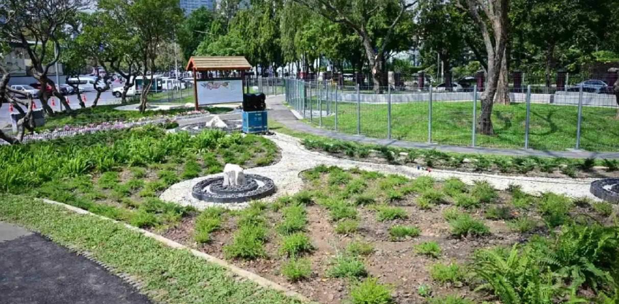 Новый собачий парк у Люмпини в Бангкоке