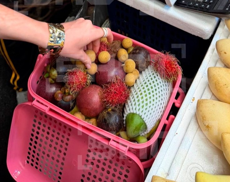 Необычный гость из тропиков