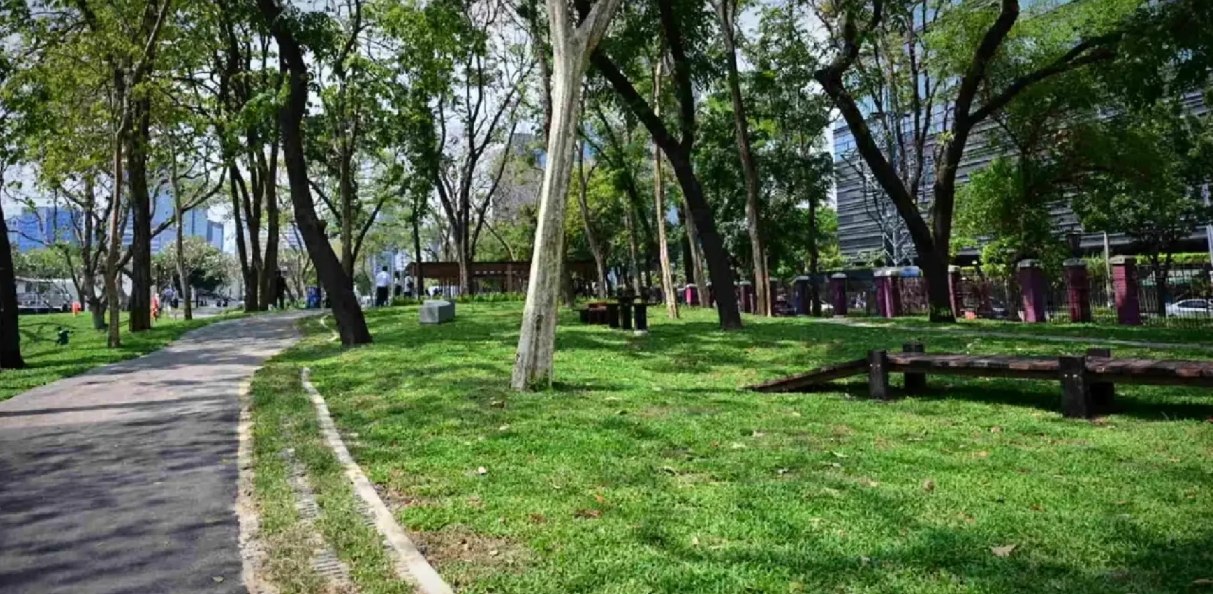 Новый парк для собак в Бангкоке