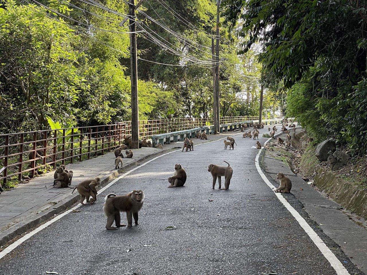 Гора Обезьян на Пхукете