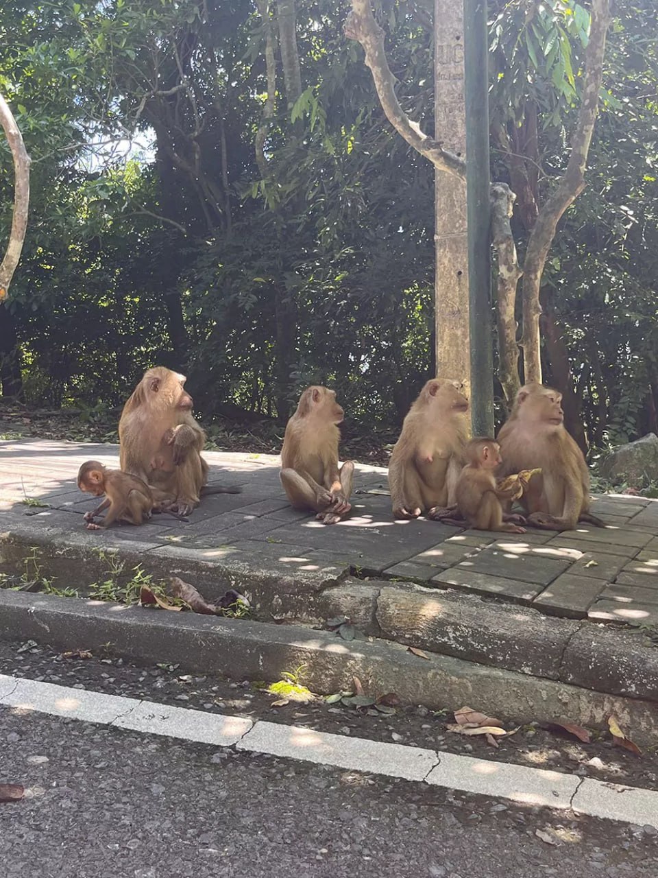 Гора Обезьян на Пхукете