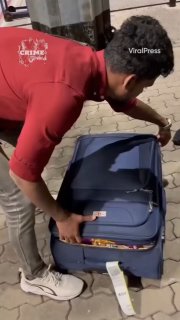 Контрабанда обезьян в аэропорту