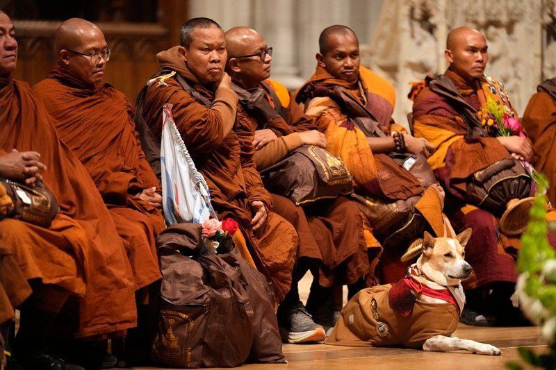 Монахи завершили марш за мир в Вашингтоне