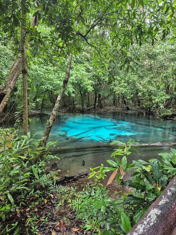 Живописный лесной парк в Краби