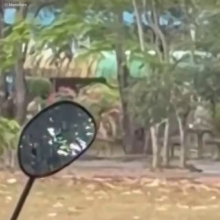 Трагедия в школе Таиланда