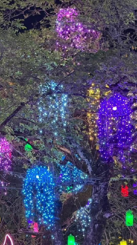 Вечерний праздник в храме Чалонг