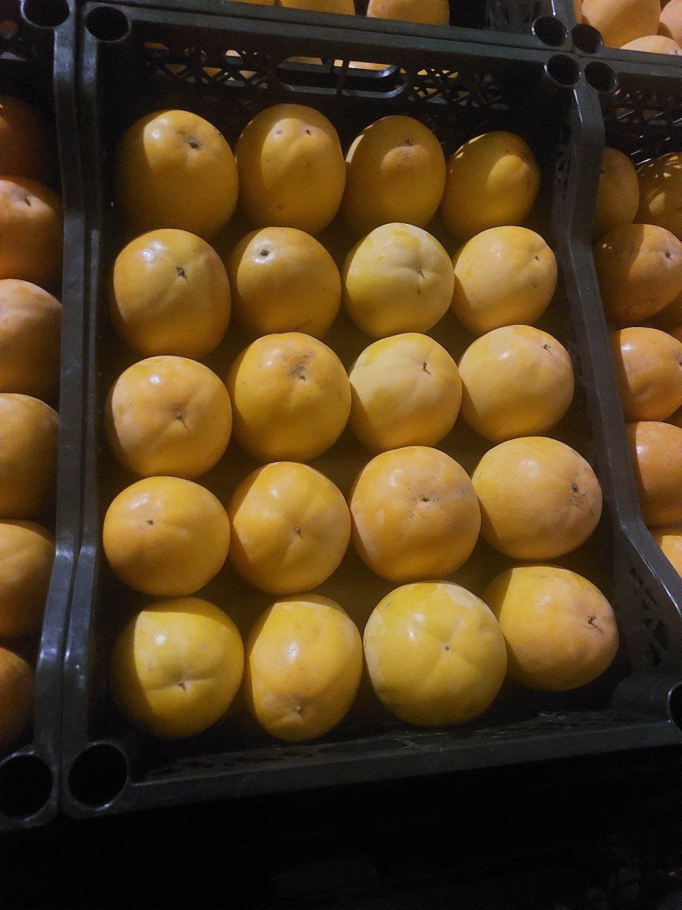 Экспорт фруктов и овощей из Узбекистана