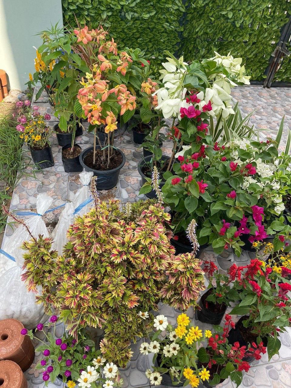 Сдача дома в Бристоль Парк