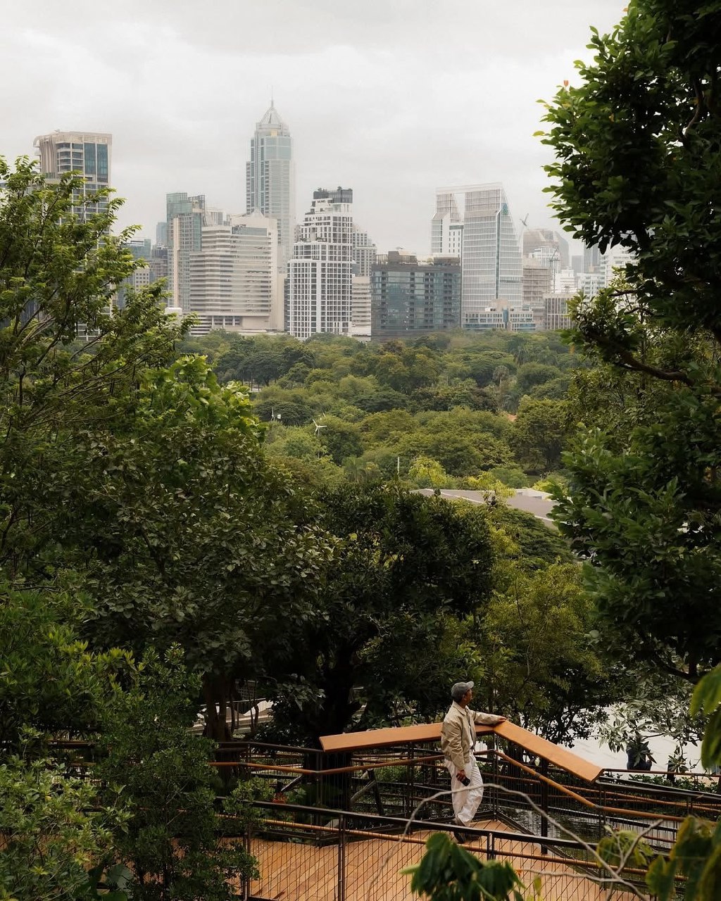Сад на крыше в центре Бангкока