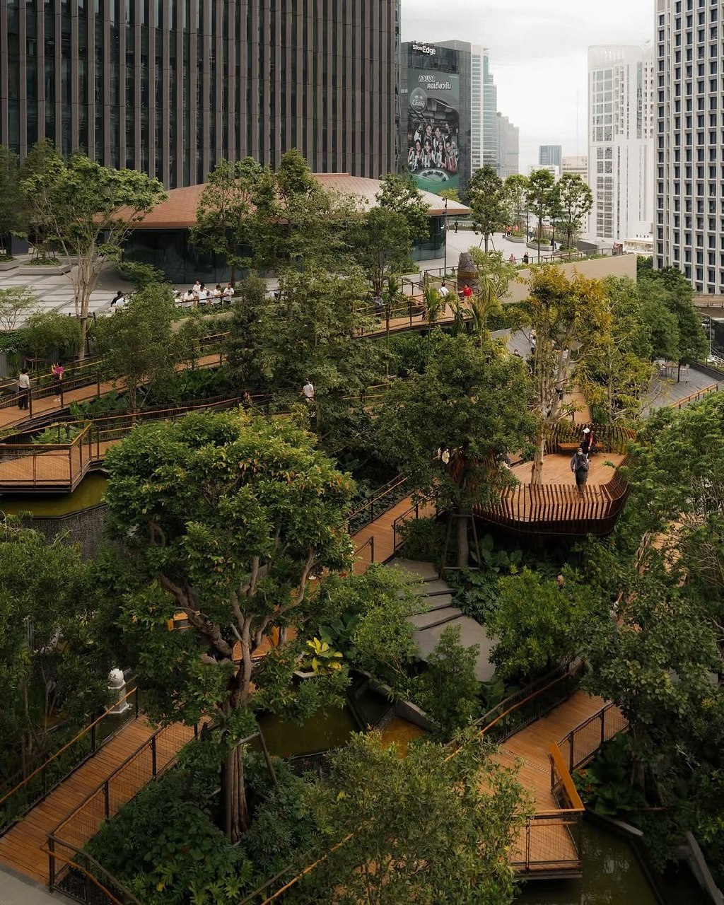 Сад на крыше в центре Бангкока
