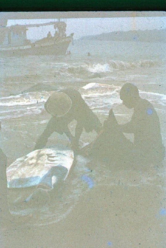 История фото: ловля ската в 1980-м