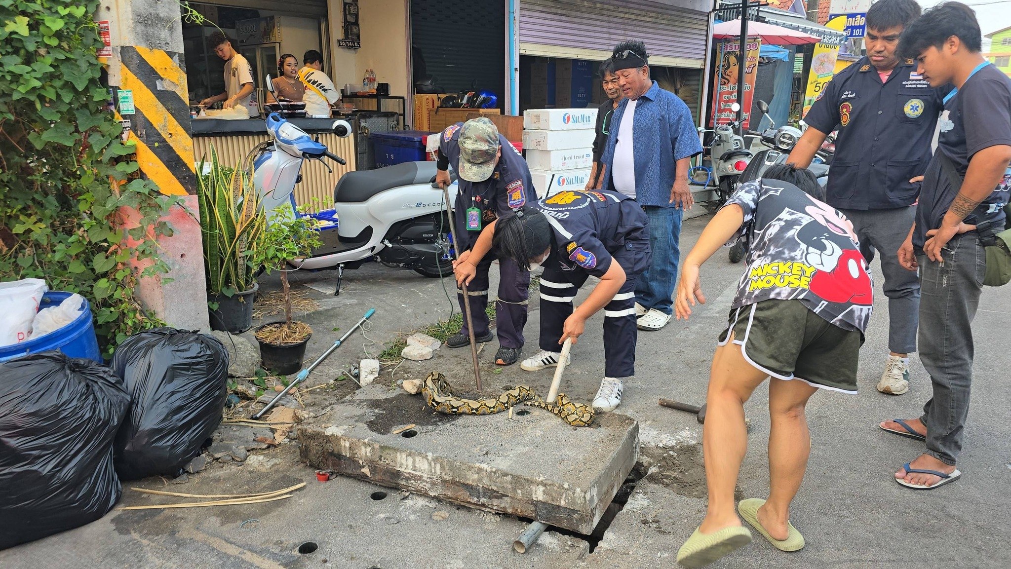 Спасение питона в Паттайе