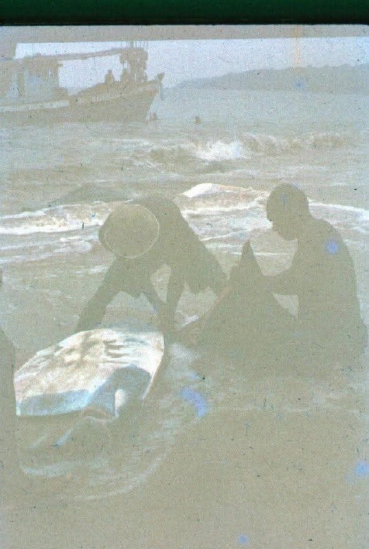 Изменения на пляже Карон с 1980-х