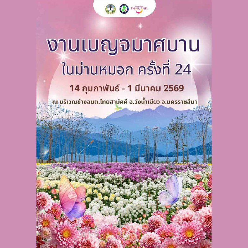 Фестиваль хризантем в Таиланде