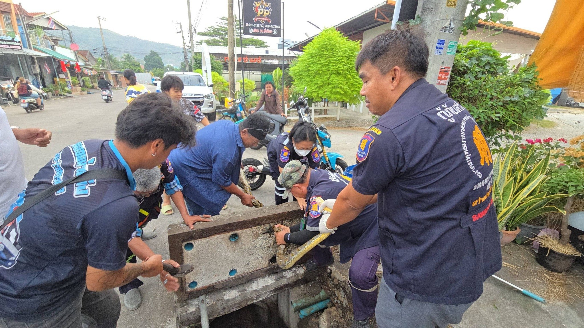 Спасение питона в Чонбури