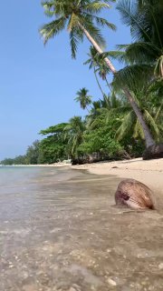 Ситуация с отменой рейсов в Таиланде