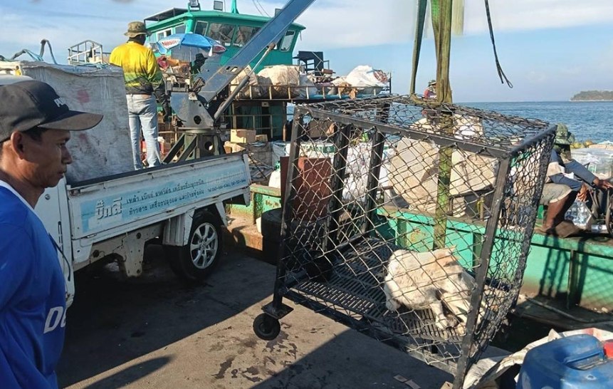 Спасение бездомной собаки на Ко Лане