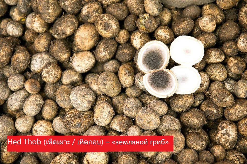 Грибы в тайской кухне