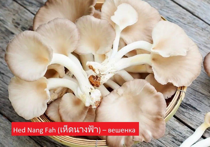 Грибы в тайской кухне