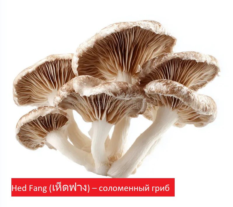 Грибы в тайской кухне