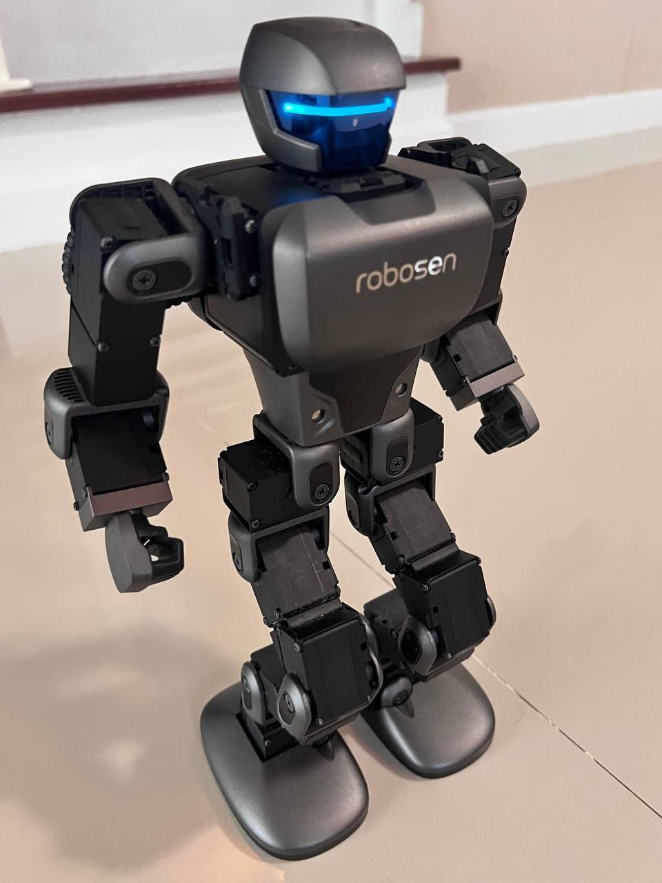 Продажа уникального робота