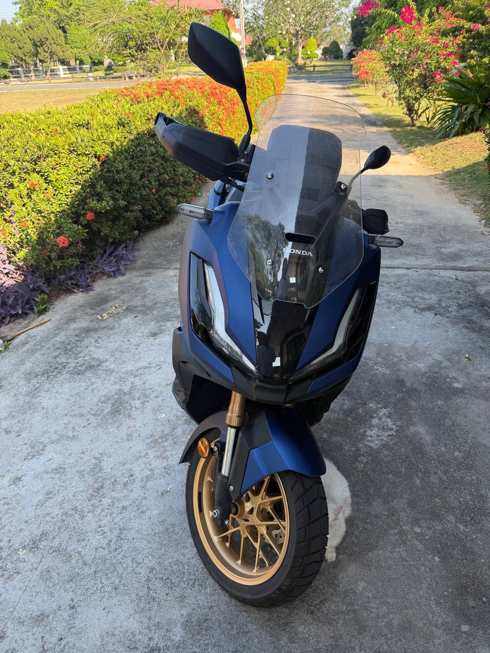 Аренда новых байков в Паттайе 2025 года