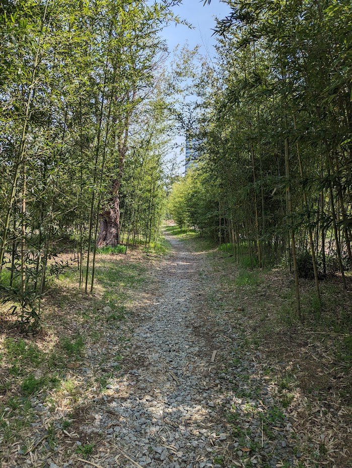 Прогулки и зеленые зоны в Дэчоне
