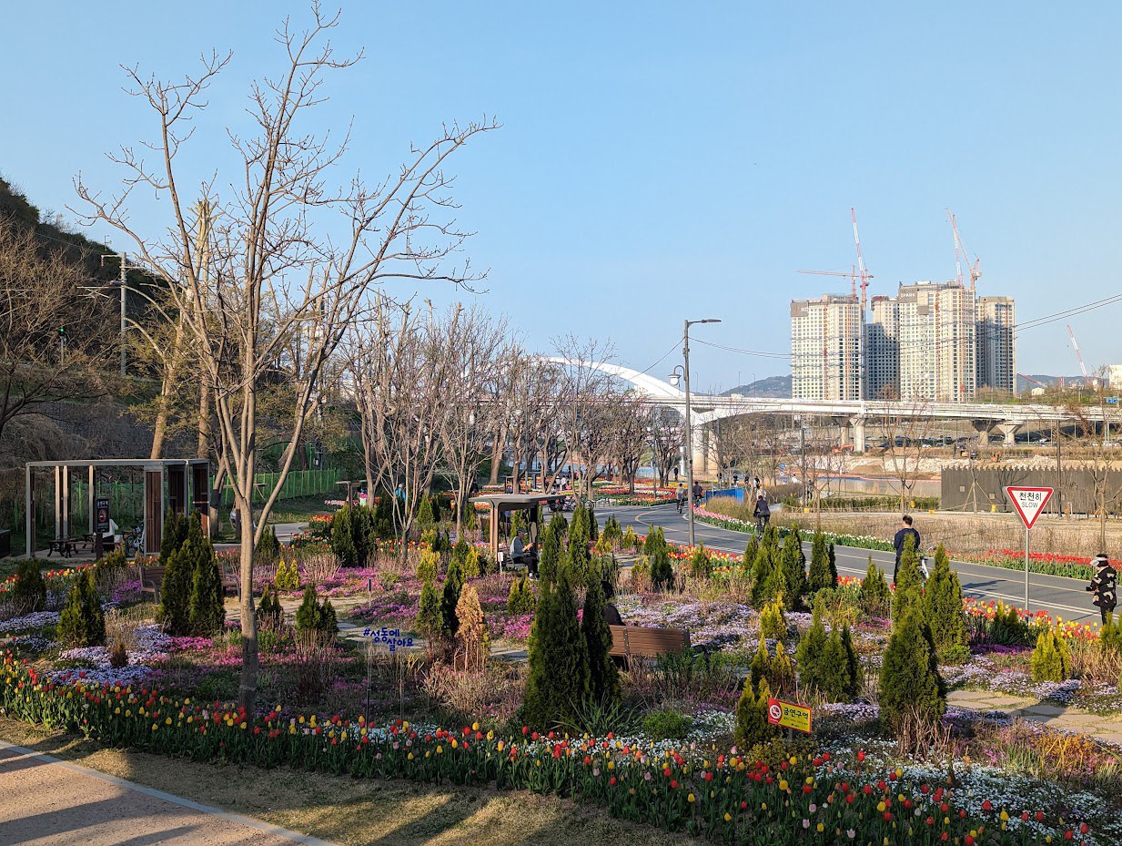 Уроки и прогулки в лесу Кореи