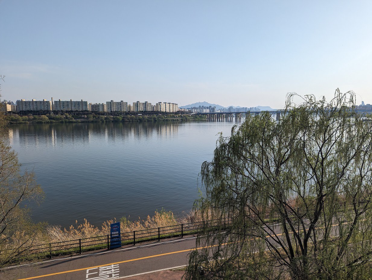 Уроки и прогулки в лесу Кореи