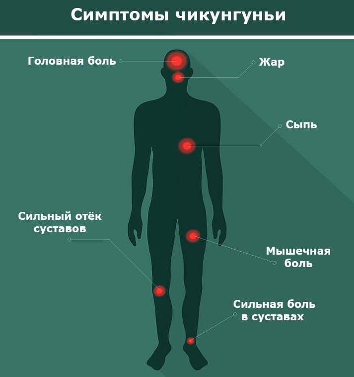 Предупреждение для туристов на Шри-Ланке