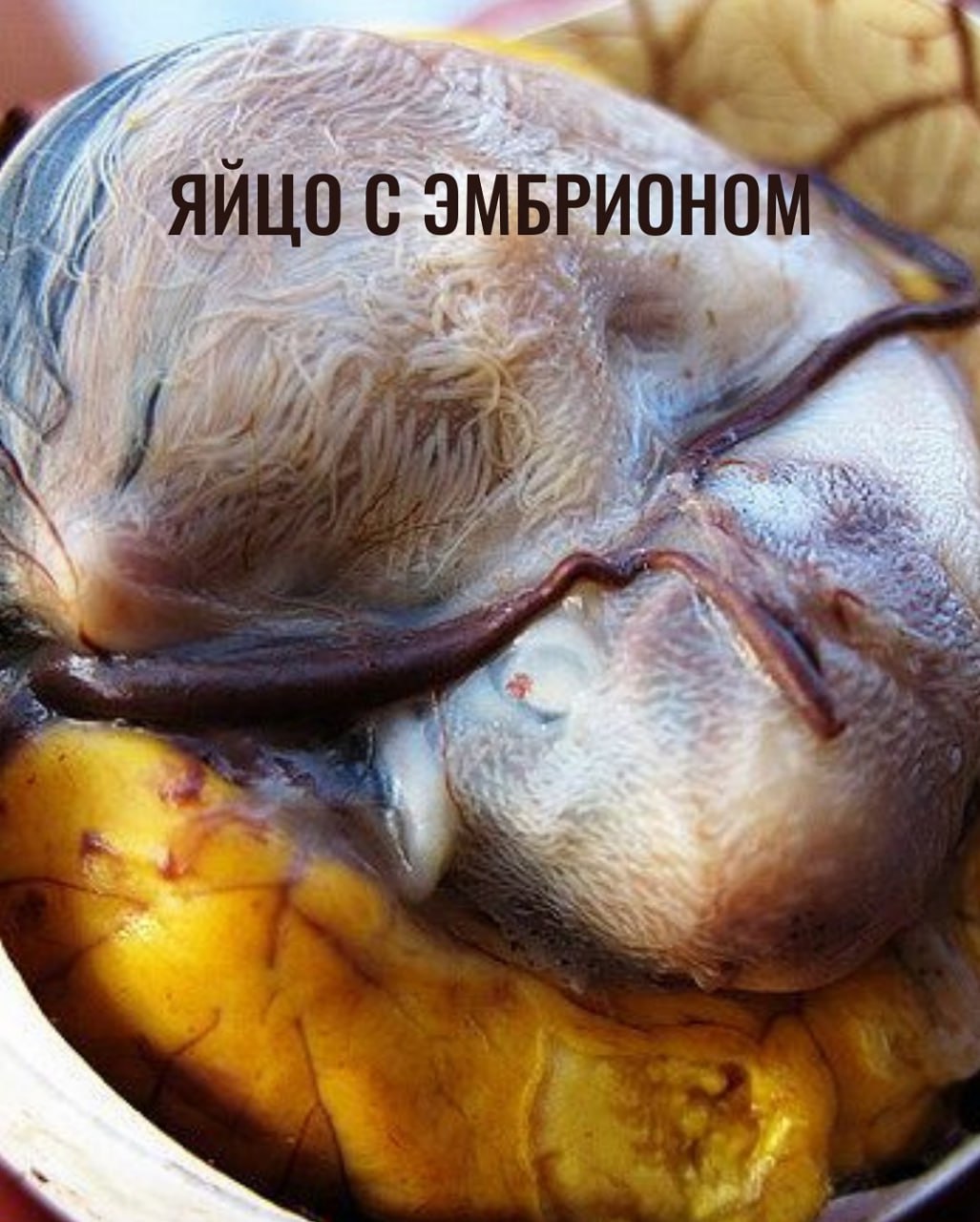 Экзотические блюда тайской кухни