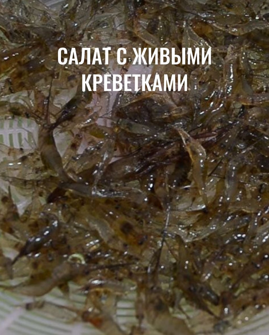 Экзотические блюда тайской кухни