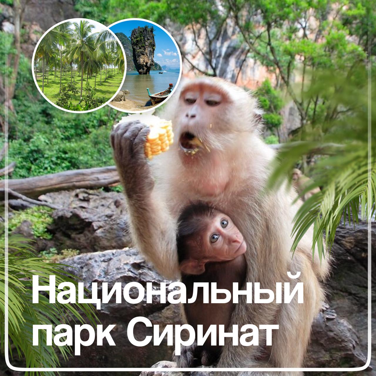 Обзор района Банг Тао на Пхукете